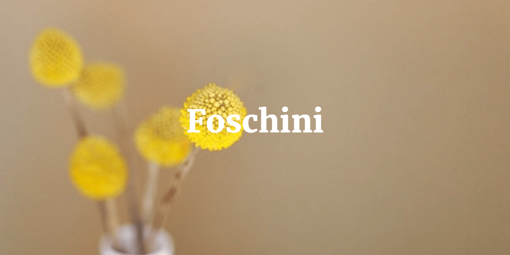 Foschini