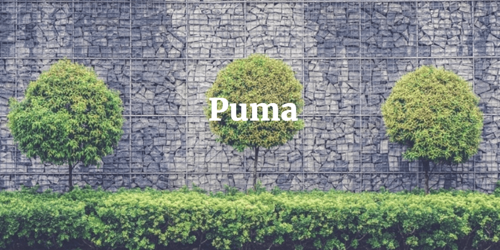 Puma