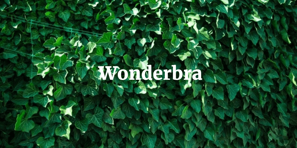 Wonderbra