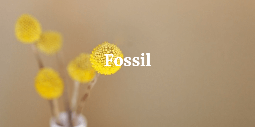 Fossil