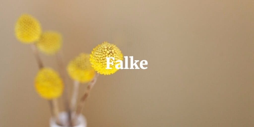 Falke