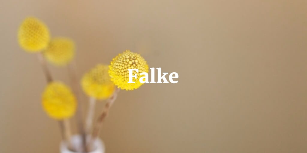 Falke