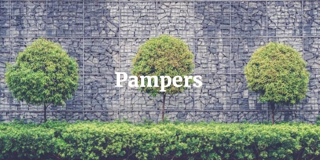 Pampers